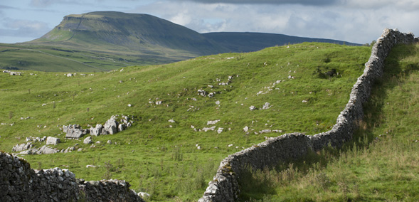 Sydney MItchell Yorkshire 3 Peaks Challenge